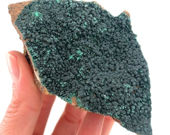 Botryoidal Malachite Specimen | Natural Congo Crystal (9.5 x 5 Cm)