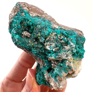 Dioptase with Mimetite Specimen | Congo Raw Crystal (69x53mm)