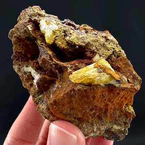 May include: A rough, natural mineral specimen featuring a mix of earthy brown and yellow hues. The rock has a textured surface with crystalline formations of a bright yellow color. The specimen is held against a dark background.