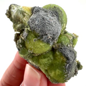May include: A raw mineral specimen featuring vibrant lime green, rounded botryoidal formations contrasted by patches of dark grey, textured crust. One corner displays a distinct, radiating crystalline spray with a metallic, light-reflecting finish.