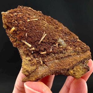 May include: A rough, textured mineral specimen with a mix of brown, tan, and yellow hues. The surface is covered with small, crystalline structures and a few thin, light-colored crystal formations.