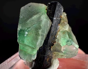 Fluorit mit schwarzem Turmalin | Lutschertasche, grüner Kristall, Mineralienprobe aus Namibia