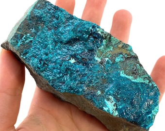 Chrysocolla Specimen (Congo), raw chrysocolla, botryoidal chrysocolla, chrysocolla crystal, rare crystals