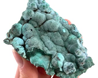 Botryoidal Chrysocolla on Malachite Specimen (Congo), raw chrysocolla, raw malachite, mineral specimen