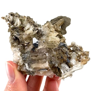 Anatase on Chlorite Quartz (Pakistan) | green phantom quartz crystal, anatase crystal, rare mineral specimen