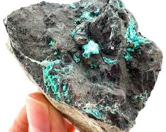 May include: A rough, irregularly shaped rock formation with a dark gray base and vibrant turquoise-green mineral deposits. The rock has a textured surface with areas of lighter gray and brown. The mineral formations are clustered throughout the rock.