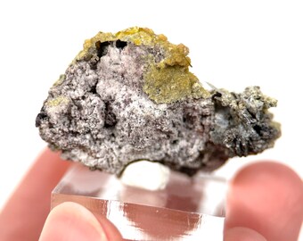 ミメタイト　鉱物標本 ミメタイトおよびウルフェナイト鉱物標本 |サンフランシスコ鉱山