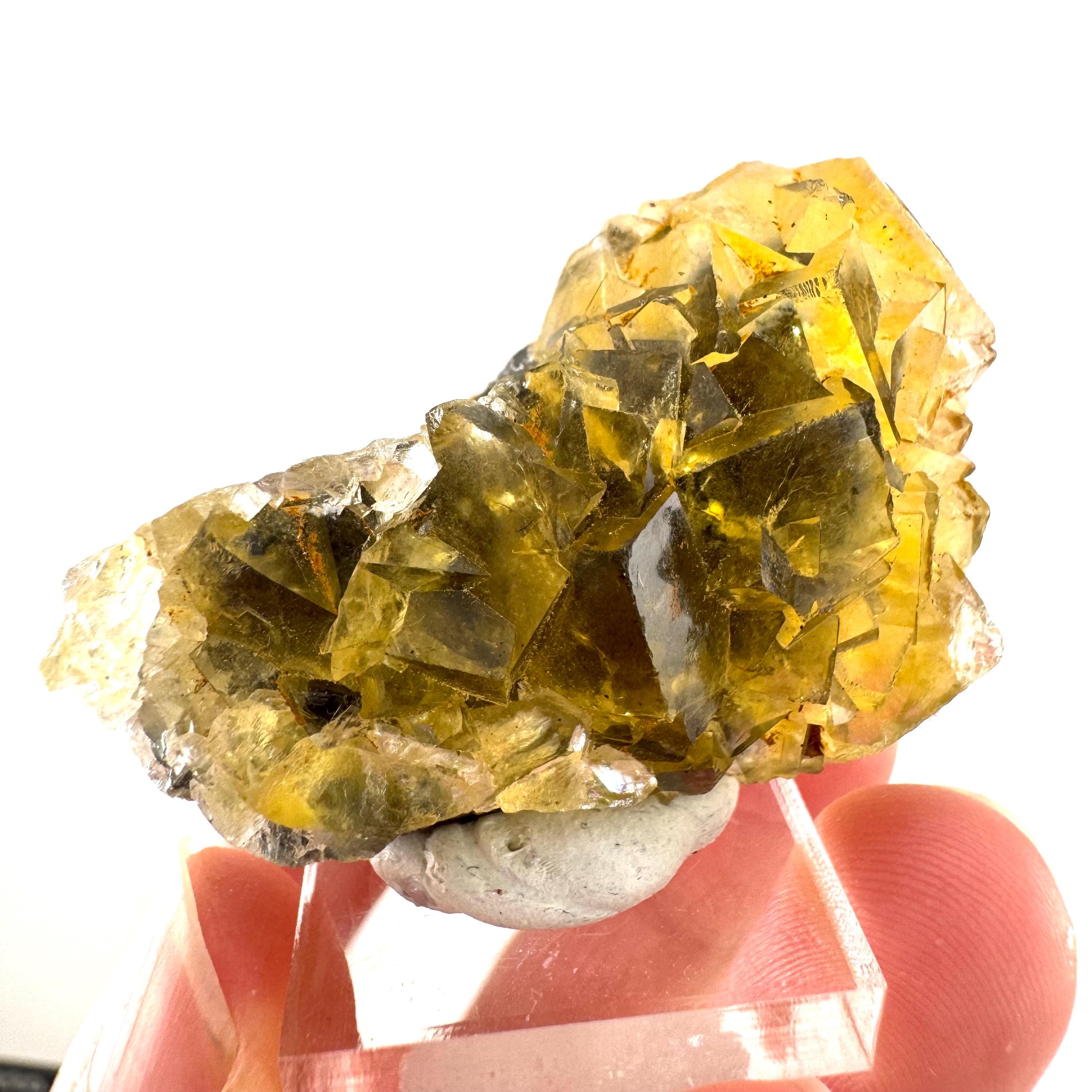 オコルス・フローライト | 「ハニーポケット」黄色結晶クラスター