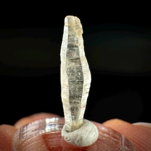 May include: A translucent, light-colored crystal with a vertical, elongated shape. The crystal has a rough, textured surface and is mounted on a small, rounded base. The background is a solid black.