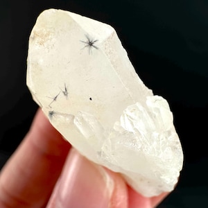 May include: A translucent, off-white quartz crystal cluster featuring several distinct, dark black needle-like inclusions arranged in starburst patterns embedded within the crystalline structure of the main point and smaller side crystals.
