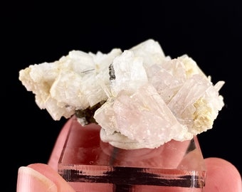 紫色のフッ化アパタイト結晶 | アフガニスタン産鉱物標本、希少宝石