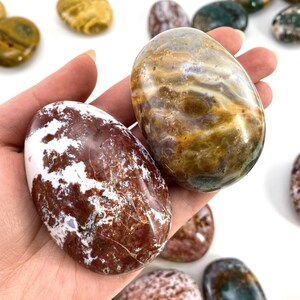 May include: Two polished, oval gemstones in shades of brown, white, and gold are held in a hand. The gemstones have a smooth, glossy surface. Other similar stones are visible in the background.