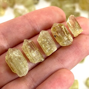 UNA Apatita Dorada (México) / apatita cruda, apatita amarilla natural, cristal de apatita, espécimen mineral, cristal de apatita dorada