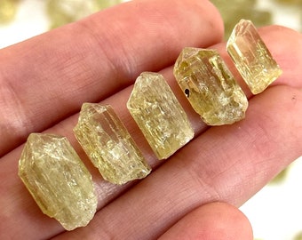 EIN Goldener Apatit (Mexiko) | roher Apatit, natürlicher gelber Apatit, Apatitkristall, Mineralprobe, goldener Apatitkristall