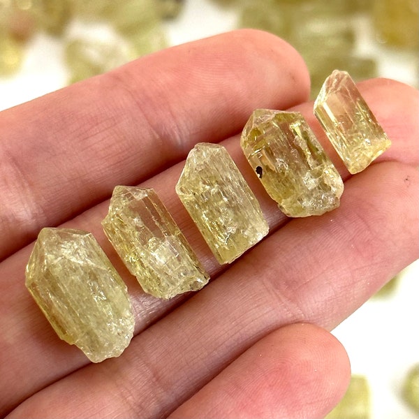 ONE Golden Apatite (Mexique) | apatite brute, apatite jaune naturelle, cristal d'apatite, spécimen minéral, cristal d'apatite doré