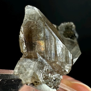 Puede incluir: Un cristal de cuarzo ahumado con una punta clara y facetada. El cristal tiene un color marrón y es translúcido. El cristal está sentado sobre un fondo oscuro.