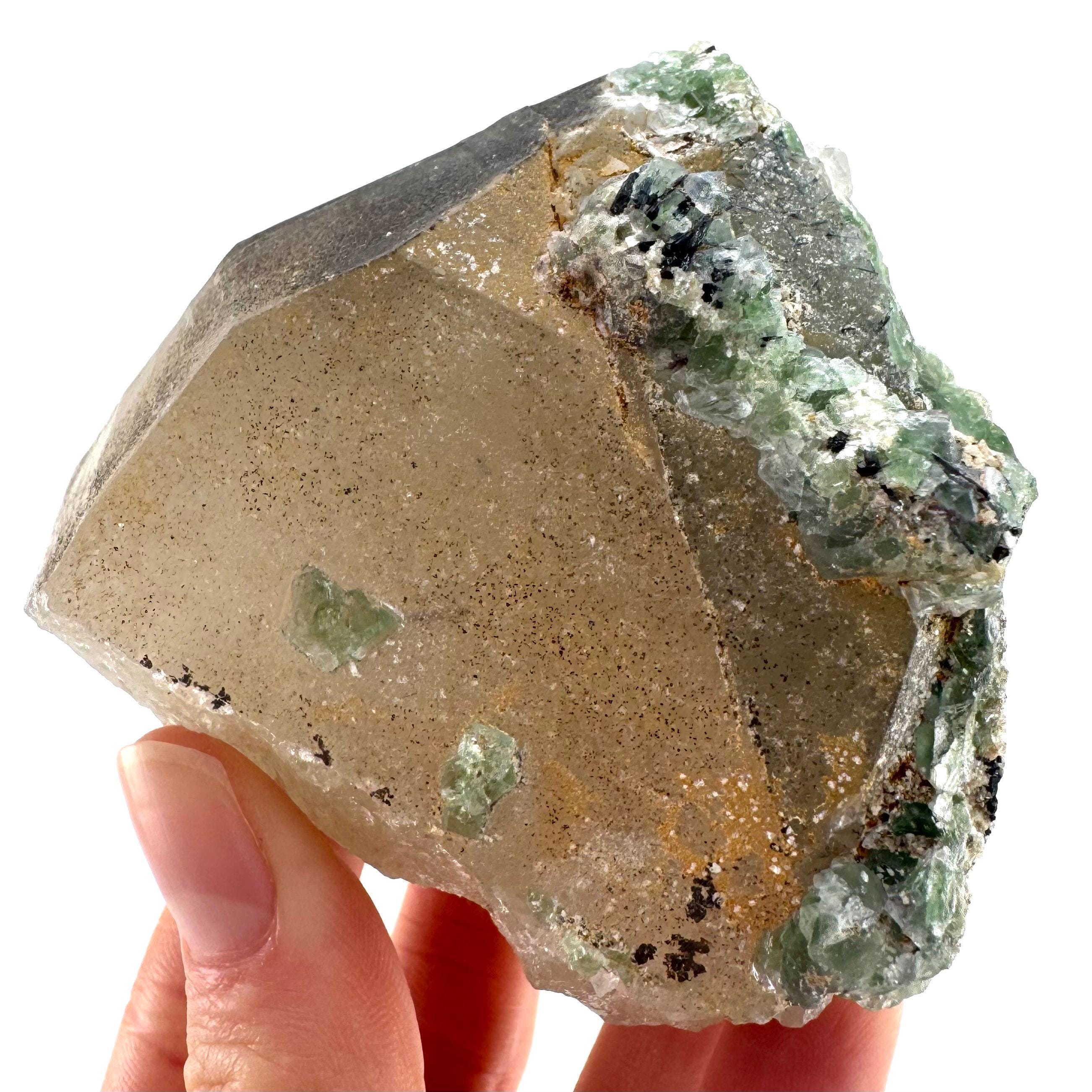 Fluorite on Smoky Quartz | Natural Crystal, Erongo Mineral