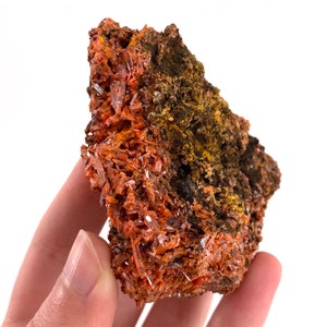 Crocoite Specimen (Australia), raw crocoite, crocoite crystal, orange crocoite, mineral specimen, rare minerals