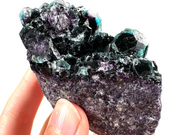 Okorusu Phantom Fluorite (Namibia) | “Midnight Pocket”, fluorite cluster, cubic fluorite, purple fluorite, green fluorite, crystals