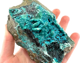 Chrysocolla Specimen (Congo), raw chrysocolla, botryoidal chrysocolla, chrysocolla crystal, rare crystals