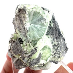 Pode incluir: Um espécime mineral natural com um grupo de cristais verde-claro radiantes dentro de uma matriz de rocha cinza escuro e cinza claro. Os cristais formam um padrão de estrela, com um ponto central e linhas radiantes.