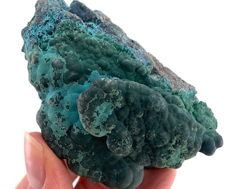 Botryoidal Chrysocolla on Malachite Specimen (Congo), raw chrysocolla, raw malachite, mineral specimen