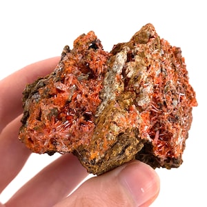 Raw Crocoite Specimen | Orange Crystal Mineral from Australia