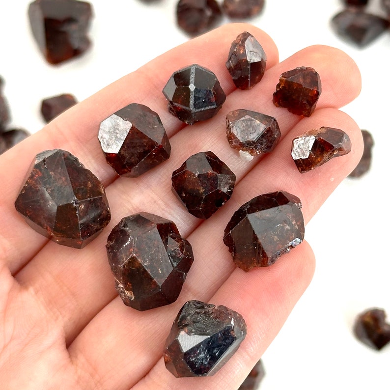 May include: A collection of 12 dark red, brown, and black garnet crystals. The crystals are faceted and have a natural, rough appearance.