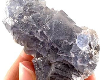 Blue Fluorite | raw crystal cluster, mineral specimen