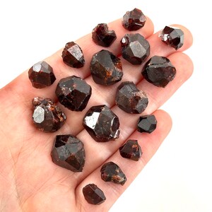 May include: A collection of 17 dark red, brown, and black garnet crystals. The crystals are all rough and have a natural, unpolished look.