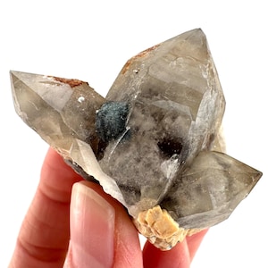May include: A cluster of quartz crystals with a smoky, translucent appearance. The crystals have sharp, pointed terminations and exhibit a range of colors from clear to light brown. A dark green mineral inclusion is visible. The base is a light tan color.