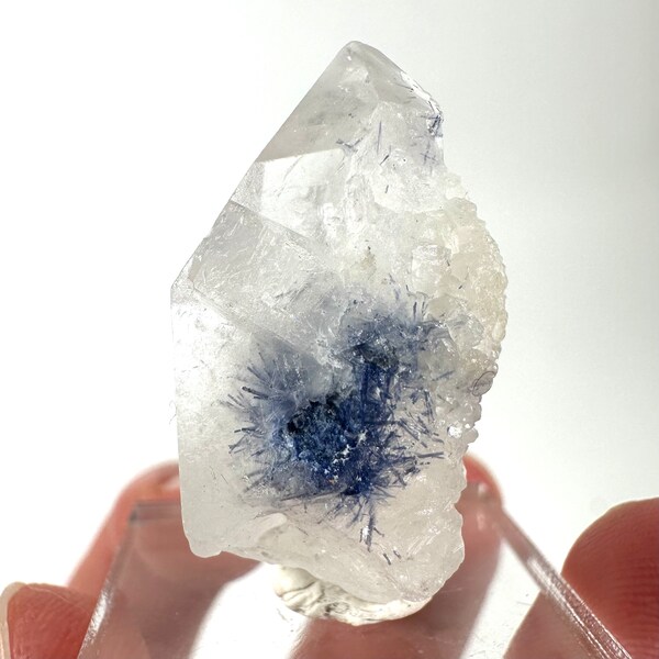 Dumortierite in Quartz (Brazil) | dumortierite quartz crystal, blue quartz point, dumortierite quartz cluster, mineral specimen, crystals