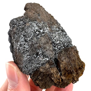 May include: A rough, irregularly shaped rock with a mix of dark gray, silver, and brown tones. The surface has a crystalline texture in some areas, with a metallic sheen. The rock is held against a white background.