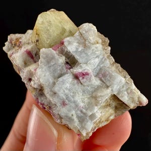Może przedstawiać: Naturalny okaz minerału z dużym, jasnożółtym kryształem na białej i szarej matrycy skalnej. Małe, różowo-czerwone kryształy są rozproszone po skale. Ogólny wygląd jest szorstki i teksturowany. Unikalna formacja geologiczna.