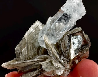 Aquamarine with Muscovite | terminated blue beryl crystal, natural mineral specimen