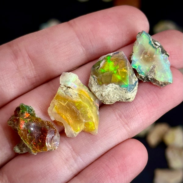 Natural Opals (per gram) | Ethiopian Opal, natural opal, rough opals, welo opal, raw opal