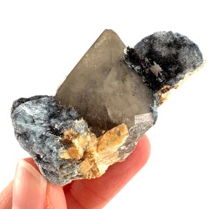 May include: A smoky quartz crystal with a pyramidal shape, set against a backdrop of dark blue and black mineral formations. The quartz is a translucent brown color, and the mineral base has a rough, textured appearance. The specimen is held in a hand.
