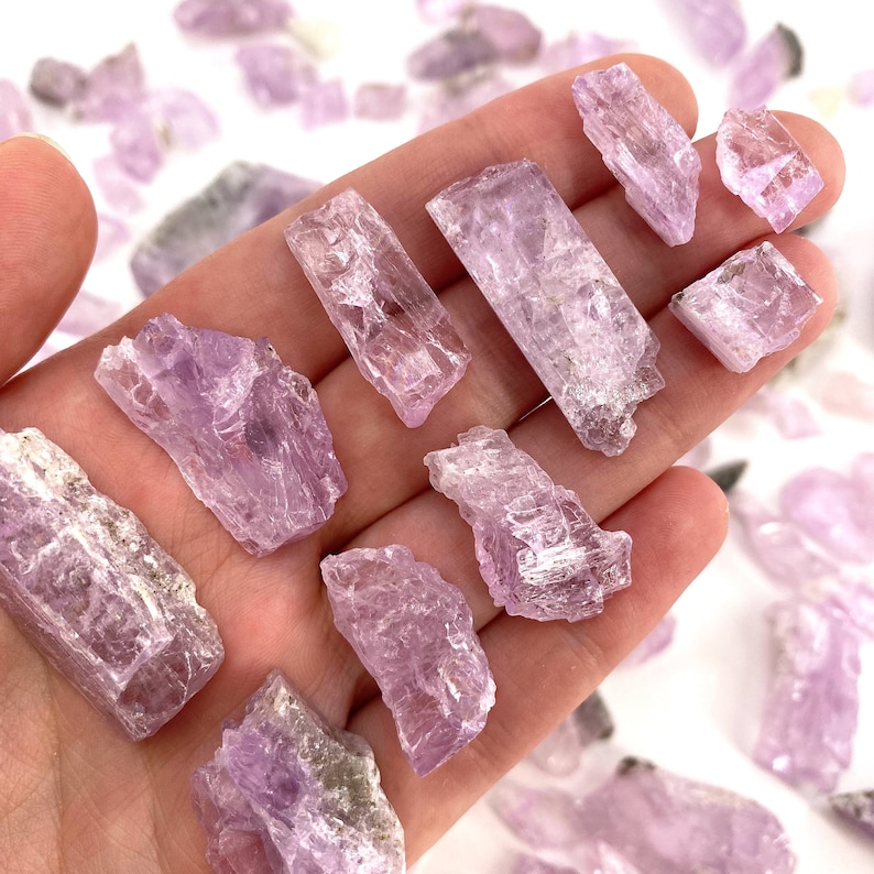 K&ouml;nnte beinhalten: Eine Sammlung von rosa und violetten Lepidolith-Kristallspitzen. Die Kristalle sind roh und haben eine nat&uuml;rliche, raue Textur. Sie sind auf einer Hand zur Gr&ouml;&szlig;enbestimmung angeordnet.
