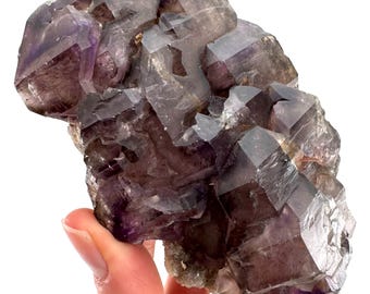 シトリン含有のファントムアメジストセプター - 高品質 (0.8 ポンド