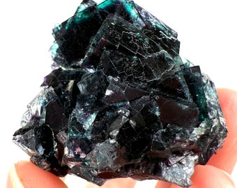 Okorusu Phantom Fluorite (Namibia) | “Midnight Pocket”, fluorite cluster, cubic fluorite, purple fluorite, green fluorite, crystals