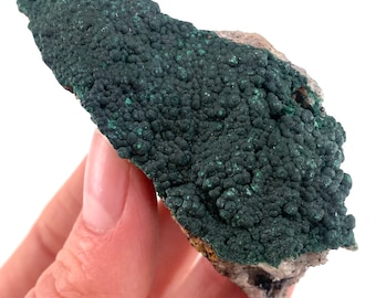 Botryoidal Malachite Specimen | Raw Congo Crystal (6.5 x 3 Cm)