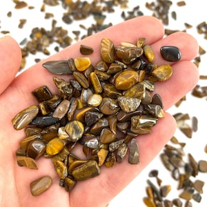 20g Mini Tumbled Tiger&#39;s Eye Crystal Chips