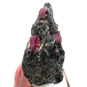 Ruby & Blue Kyanite on Matrix | natural crystal, mineral specimen from Tanzania