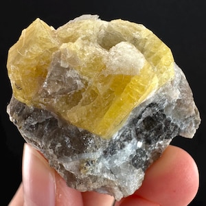 Może przedstawiać: Naturalny okaz minerału z grupą jasnożółtych kryształów na szarej i czarnej skale. Kryształy mają kształt pryzmatyczny, a ogólny wygląd jest szorstki i teksturowany. Uderzający przykład naturalnych formacji geologicznych.