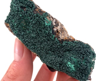 Botryoidal Malachite Specimen | Raw Congo Crystal (7x2.5cm)