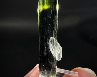 Green Cap Tourmaline with Quartz (Pakistan) | raw tourmaline, green tourmaline, tourmaline crystal, rare minerals, rare crystals