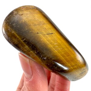 Polished Tiger&#39;s Eye Freeform Crystal (5.8 x 4.2 cm)