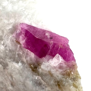 May include: Close-up of a vibrant pink ruby crystal embedded in a matrix of white and gray stone. The ruby has a faceted appearance, catching the light. The surrounding stone has a rough, textured surface.