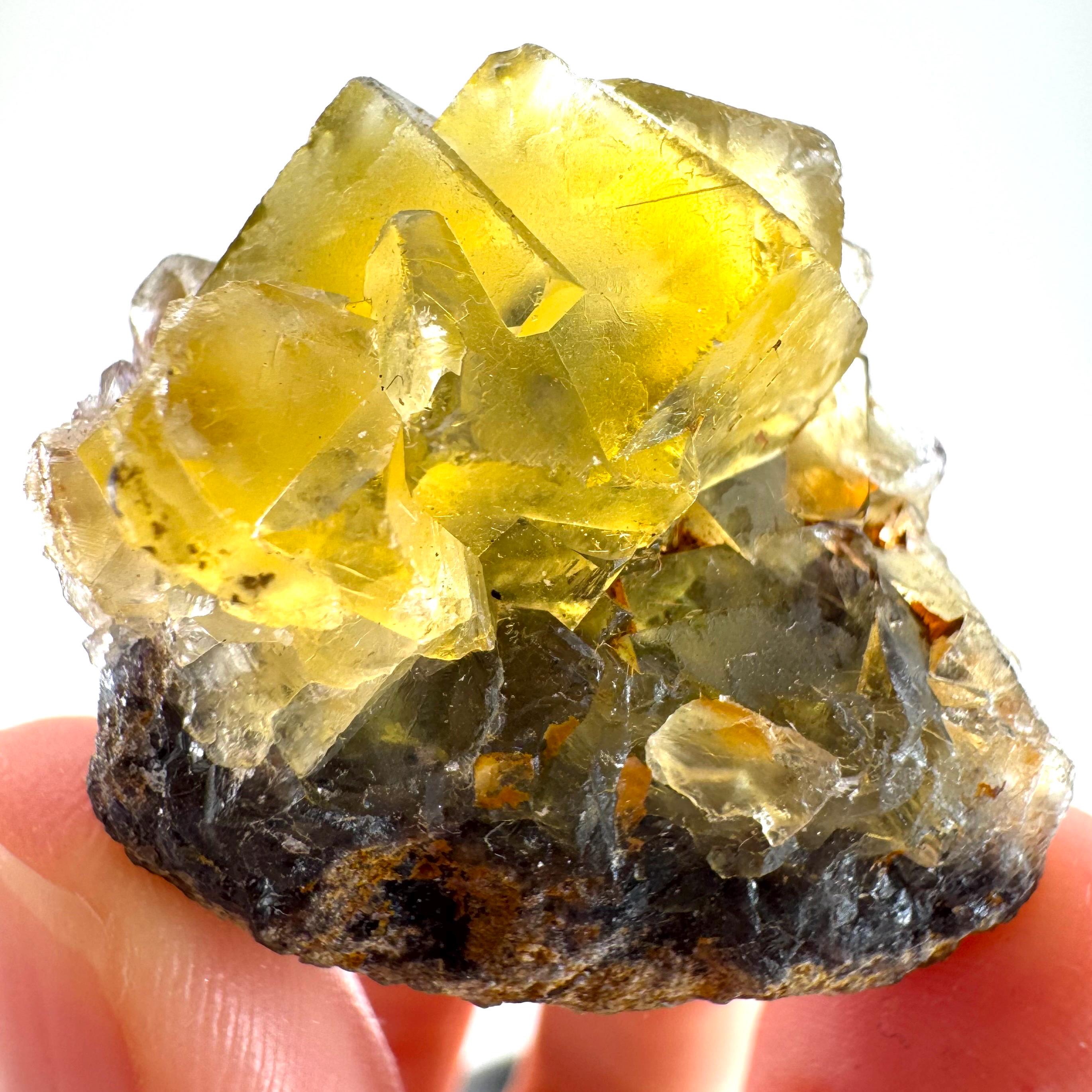 Okorusu Fluorite | “honey Pocket” Yellow Raw Fluorite Crystal