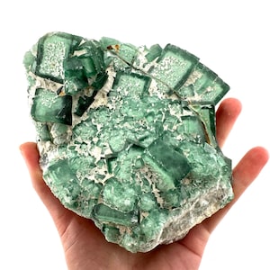 Fluorine verte | amas de cristaux cubiques bruts, spécimen minéral